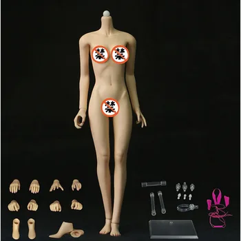 1/6 Azijski Oblik Ženska Kombinacija Skala Za tijelo Fleksibilna (Velike grudi) Kostur Lopta Od Nehrđajućeg Čelika Odvojiva Model za noge JOQ-10D