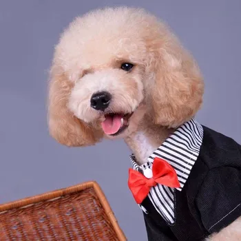 2018 Potpuno Nova moda Odjeća za male kućne pse u zapadnom stilu Muška odijela Kravata Odijelo štene odjeća za kućne ljubimce pse ropa perro XS-XXL