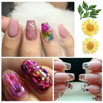 Pomiješajte 12 Boja Prirodnih suhog cvijeća DIY Nail Art Cvjetni Ukrasi Za nokte, Nakit za nokte Lak Za Nokte Alat
