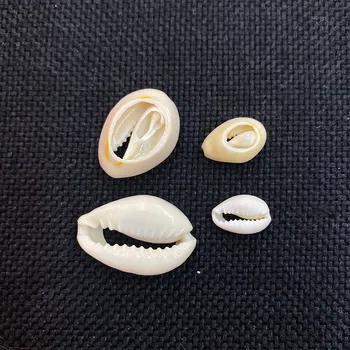 Pravi Mali Umivaonik Privjesak na Kockice Perle od školjki Veličine 15-25 mm za izradu nakita DIY Uređenje doma Pribor za zvuk Vjetra 20 kom.