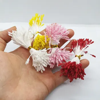 500шт 2 mm/0,078 inča Mješoviti Dvostruke Glave DIY Umjetnu Mini-Biser bijeli Cvijet Prašnicima Tučak Cvjetni Prašnicima Za Vjenčanje Ukras DIY