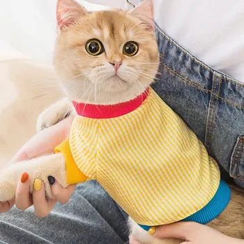 Odjeća za kućne ljubimce Mali pas Pokrivač košulja Mačka Majica Štene Svakodnevno kaput Kostimi Ljeto Hoodies Odjeću za Mačke i Pse Chihuahua
