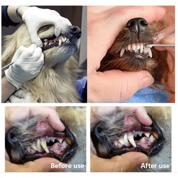 Скалер za pseći Zubi Scraper Od Nehrđajućeg Čelika Modernizirana za uklanjanje Тартера za kućne mačke s Različitim glave Alat Za Čišćenje Zuba u rasutom stanju